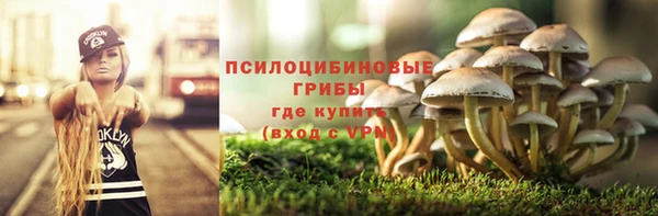 трава Верхний Тагил