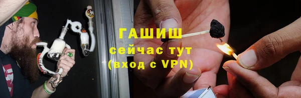 молекула духа Бородино