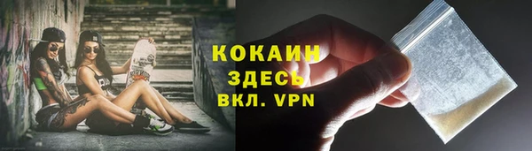 молекула духа Бородино