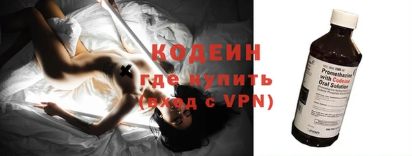 молекула духа Бородино
