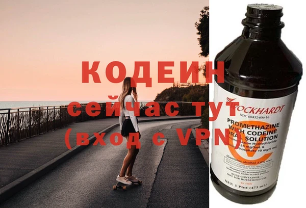 молекула духа Бородино