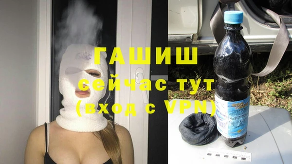 молекула духа Бородино