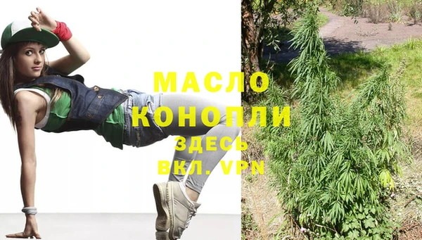 молекула духа Бородино
