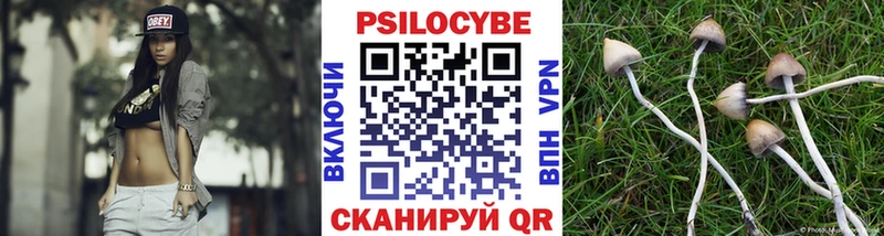 Купить закладки  Нижняя Салда  Псилоцибиновые грибы MAGIC MUSHROOMS 